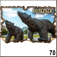 Г339-070
