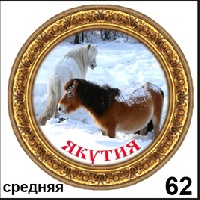 Тарелка Якутск (ДВП)_1