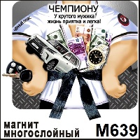 Сувенир Чемпиону - купить М639
