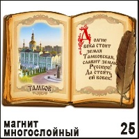 Магнит Тамбов (книга с пером)_1