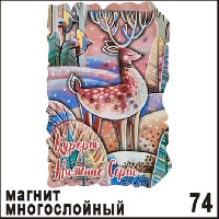 Г317-074