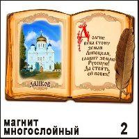 Сувенир Магнит Данков (книга) - купить Г394/002