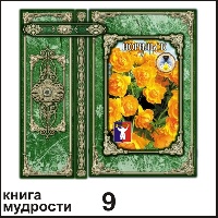 Сувенир Книга Норильск - купить Г110/009