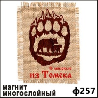 Магнит 257 Лапа Ваше Изображение с сукном 10,5х7_1