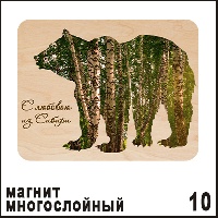 Магнит Сибирь фанерный (медведь) березки - Н010
