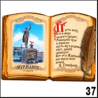 Магнит Мурманск (книга)_1