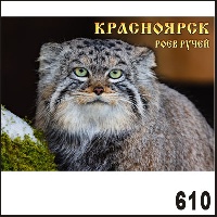 Г22-610