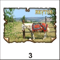 Магнит Якутск (винтаж)_1