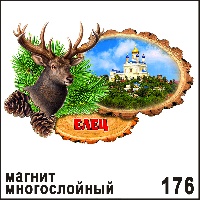 Г263-176