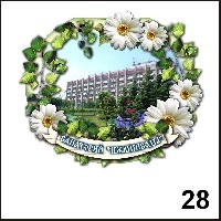 Магнит Ижминводы_1