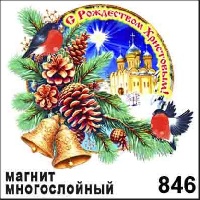 НГ846