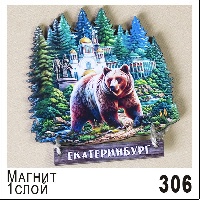 Г17-306