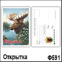 Ф591