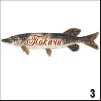 Магнит Покачи_1