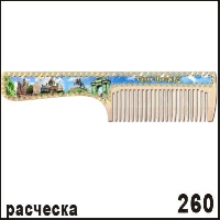 Расческа Санкт-Петербург _1