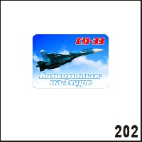 Г243-202