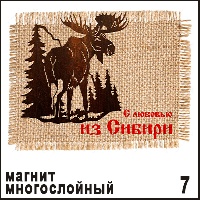 Магнит Сибирь с сукном (лось) - Н007