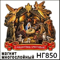 НГ850