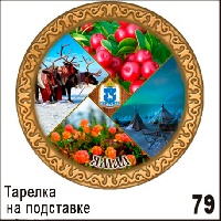 Г339-079
