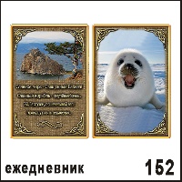 Сувенир Ежедневник Байкал  - купить Г12/152
