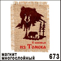 Сувенир Магнит 260 Медведь Ваше Изображение с сукном 10,5*7 - купить Ф260