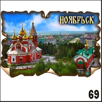 Г339-069