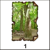 Магнит Ясная Поляна (винтаж)_1