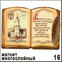 Магнит Могилев (Книга)
