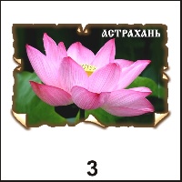 Сувенир Магнит Астрахань (винтаж) - купить Г177/003