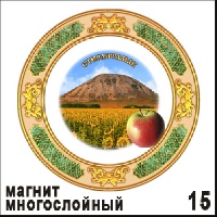 Магнит Стерлитамак (блюдце с яблочком)