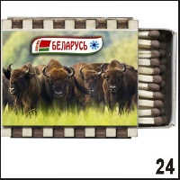 Магнит Беларусь (спички)_1