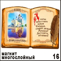 Сувенир Магнит Елец (книга) - купить Г263/016