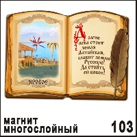 Сувенир Магнит Яровое (книга) - купить Г45/103