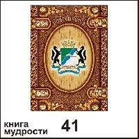 Сувенир Книга Новосибирск - купить Г27/041