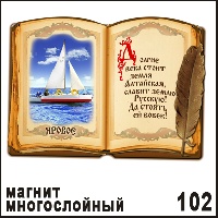 Сувенир Магнит Яровое (книга) - купить Г45/102