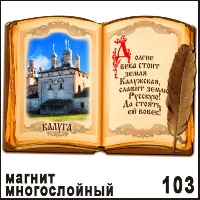 Магнит Калуга (книга)_1