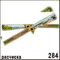 Г20-284(041_d)