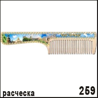 Расческа Санкт-Петербург _1