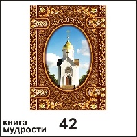 Сувенир Книга Новосибирск - купить Г27/042