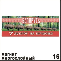 Магнит Беларусь (многослойный)_1