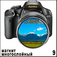 Магнит Вышка (фотоаппарат)_1