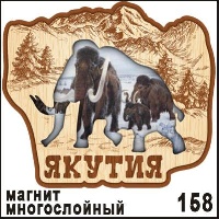 Магнит Якутск_1