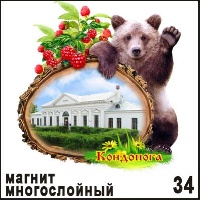 Магнит Кондопога_1
