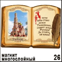 Магнит Тамбов (книга с пером)_1