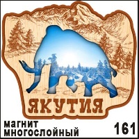 Магнит Якутск_1