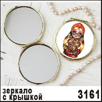 -3161