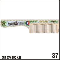 Расческа Норильск_1