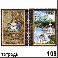 Сувенир Тетрадь Омск - купить Г29/109