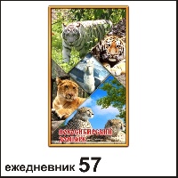 Сувенир Ежедневник Новосибирск - купить Г27/057