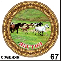 Тарелка Якутск (ДВП)_1